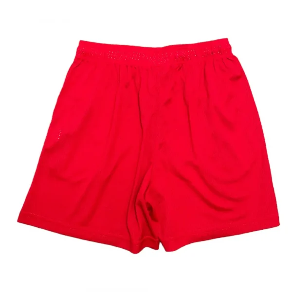 EE Basic Mesh Shorts (Red)